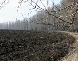 В області стартують весняно-польові роботи