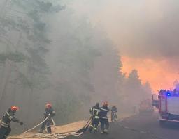 Рятувальники надають допомогу лісництву у ліквідації лісової пожежі у Новоайдарському районі