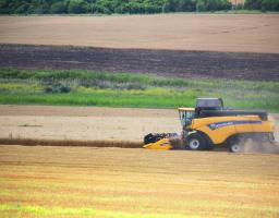 Луганські аграрії намолотили 909,3 тис. тонн зерна