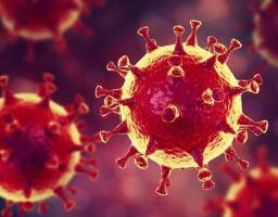 В області лабораторно підтверджено 119 нових випадків COVID-19. Від ускладнень померли чотири людини