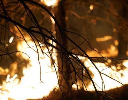 Сергій Гайдай тримає на контролі ситуацію з ліквідації пожеж, що виникли в області