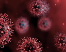 Лабораторно підтверджено 592 нових випадків COVID-19 в області за минулу добу. Від ускладнень померло ще 22 хворих