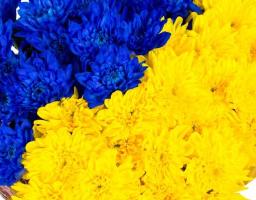 Медикам Луганщини присвоєні почесні звання