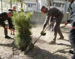 «Алея Захисників Луганщини» у Дніпрі поповнилась новими деревами