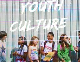 Розвиток молодіжних центрів в Україні за європейських зразком 