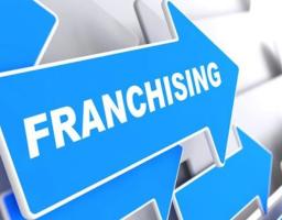 ФРАНЧАЙЗИНГ – ЯК ОДИН ІЗ ДІЄВИХ ІНСТРУМЕНТІВ РОЗВИТКУ МСБ»