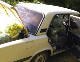 «Фантомівці» запобігли незаконному перевезенню овочів