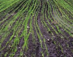 Аграрії Луганщини готуються до весняно-польових робіт 