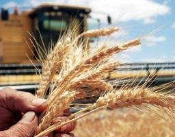 Мінекономіки надає держгарантії агропідприємцям