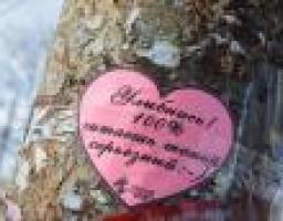 У Сєвєродонецьку стартувала акція до дня святого Валентина