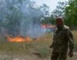 Після обстрілу з “Градів” у Трьохізбенці біля тубдиспансеру зайнявся сосновий ліс