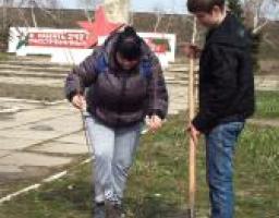 У Станично-Луганському районі 1 квітня стартувала акція «Дерево добра та миру»