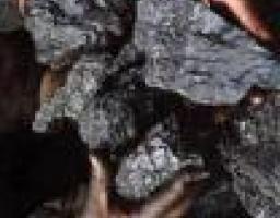 Шахтарі ТОВ «ДТЕК Свердловантрацит» видобули 2 мільйона тонн вугілля