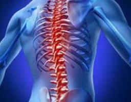 С 19 по 21 декабря 2012 года в Луганской области будет впервые проведено эпидобследование по изучению состояния костно-мышечной системы (диагностика остеопороза)