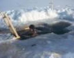 Правила поводження на льоду