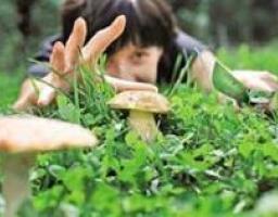 Всякий гриб в руки берут, да не всякий гриб в кузов кладут