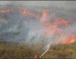 Будьте обережні з вогнем у лісі