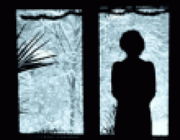 То сніг, то завірюха, бо вже зима коло вуха