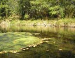 Перевірка місць масового відпочинку на водних об’єктах