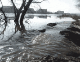 Участь у Всеукраїнській нараді з питання організації підготовки та пропуску льодоходу, повені та паводку