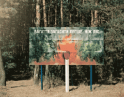 Лес наше богатство!