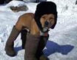 Як діяти під час різкого похолодання