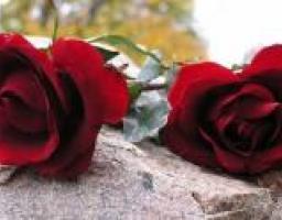 Співчуття у зв’язку із втратою близької людини та колеги