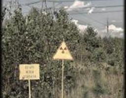 Заседание Совета председателей общественной    организации « Союз Чернобыль»  Луганской области.