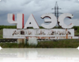 Соціальний захист громадян, постраждалих внаслідок Чорнобильської катастрофи