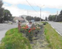 Взаємовигідна співпраця: у Троїцькому районі організовуються громадські роботи для незайнятого населення