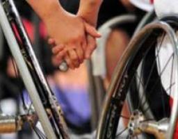 Состоялось совещание в режиме видеосвязи на тему: "Привлечение детей-инвалидов к занятиям спортом и перспективы развития параолимпийского и дефолимпийского спорта в Луганской области"