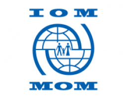 МОМ шукає партнерські організації для проведення тренінгів та адміністрування грантів по самозайнятості