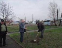 Кремінський районний центр зайнятості долучився до акції до Дня довкілля