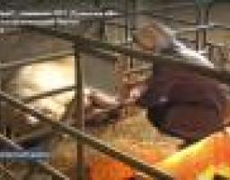 Створення нових робочих місць – шлях до розвитку територій