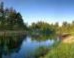 7 липня – День працівника природно-заповідної справи