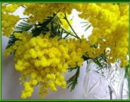 Відбулись урочисті збори з нагоди Міжнародного жіночого дня