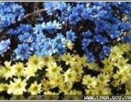 Відбулось покладання квітів з нагоди Дня Конституції України