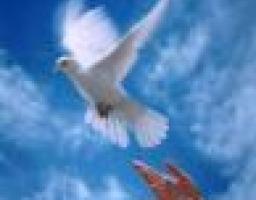 21 вересня – Міжнародний день миру