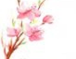 Президент України Віктор Янукович відзначив державними нагородами мешканок Луганщини