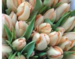 21 березня – День працівників житлово-комунального господарства і побутового обслуговування населення