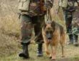 28 травня відзначається День прикордонника