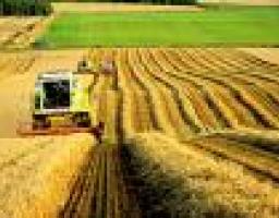 21 листопада відзначається День працівників сільського господарства