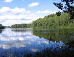 Всесвітній день водних ресурсів відзначається щорічно 22 березня