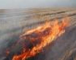 До уваги громадських організацій