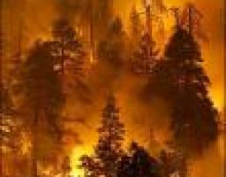 До уваги громадських організацій