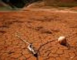 Сьогодні відзначається Всесвітній день боротьби з опустелюванням і засухами