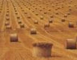 В облдержадміністрації відбудеться «круглий стіл», присвячений концепції земельної реформи