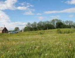 Єдиний день інформування населення з питань проведення земельної реформи в Україні пройшов сьогодні на Луганщині