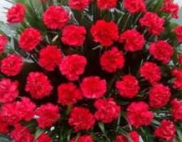 Луганщина відзначатиме 69-ту річницю  визволення від фашистських загарбників