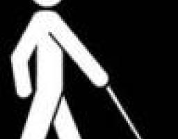 Завершився триденний регіональний інформаційно-практичний семінар «Школа тренерів з орієнтування та мобільності осіб з порушеннями зору»